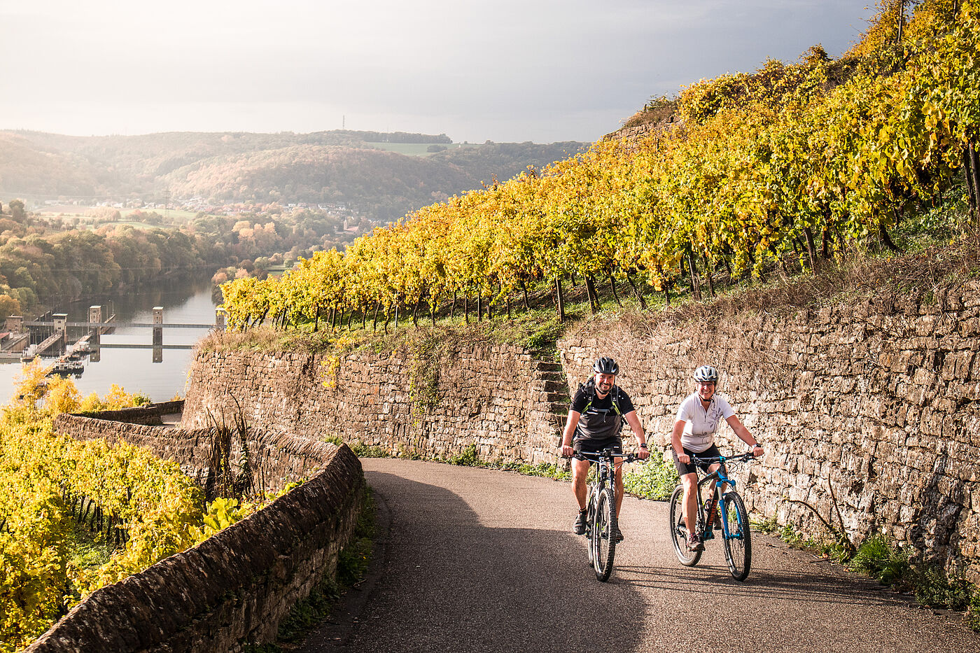 Neckartal-Radweg Burg Hornberg Neckartal-Radweg, zwei Radfahrer auf dem Weg zur Burg Hornberg in den Weinbergen mit Blick ins Neckartal