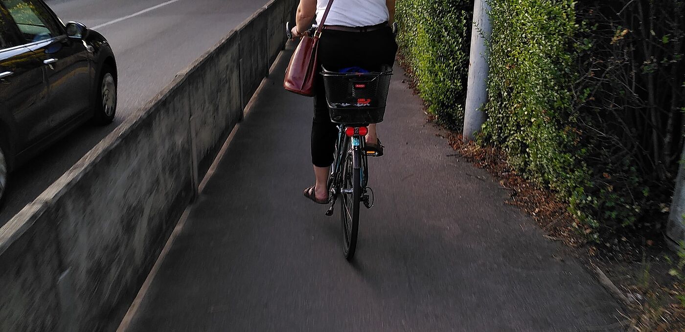 Ausgelassener Pflegeschnitt auf einem benutzungspflichtigen Zweirichtungsradweg in Stuttgart 