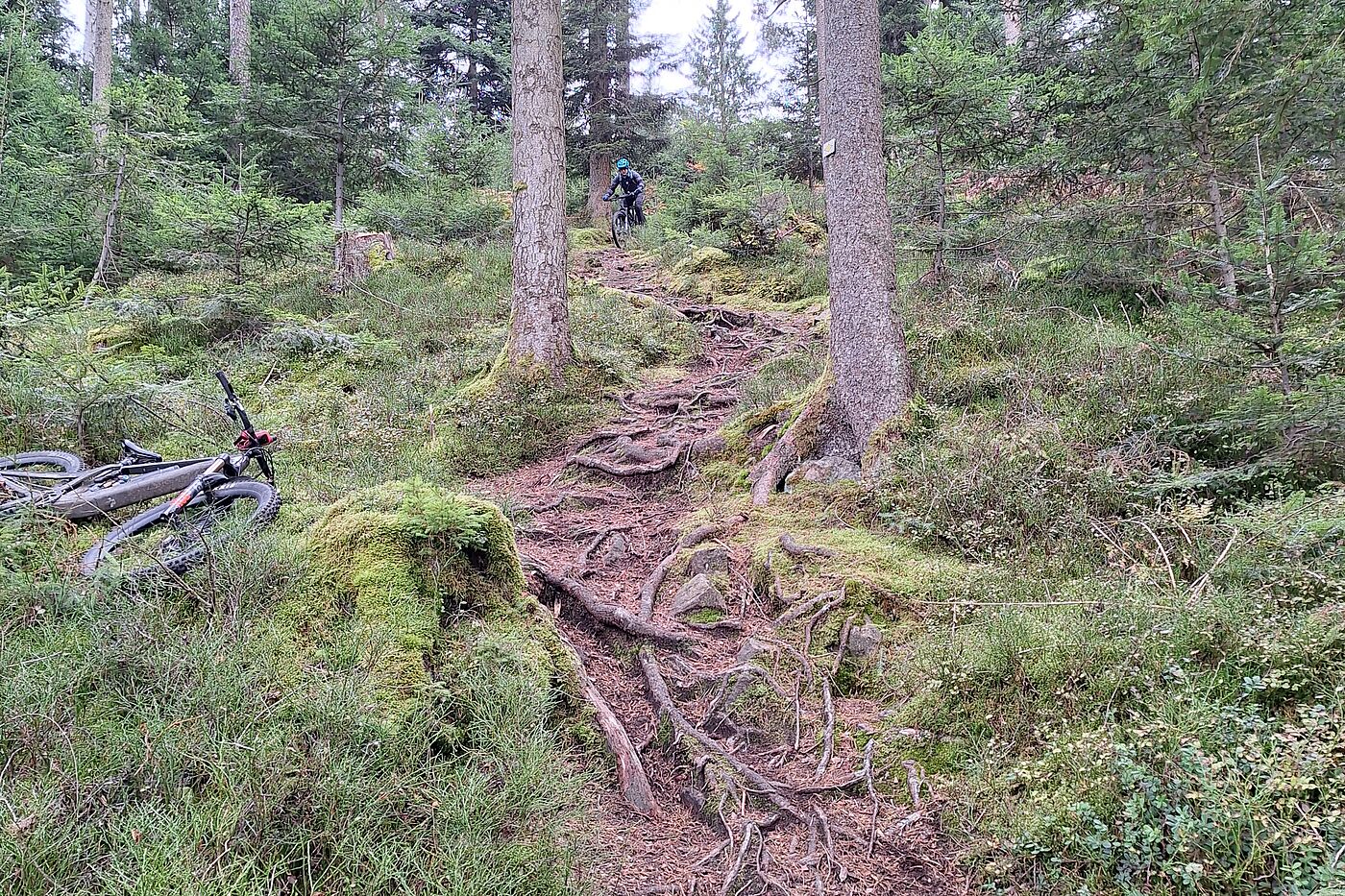 MTB Reutlingen