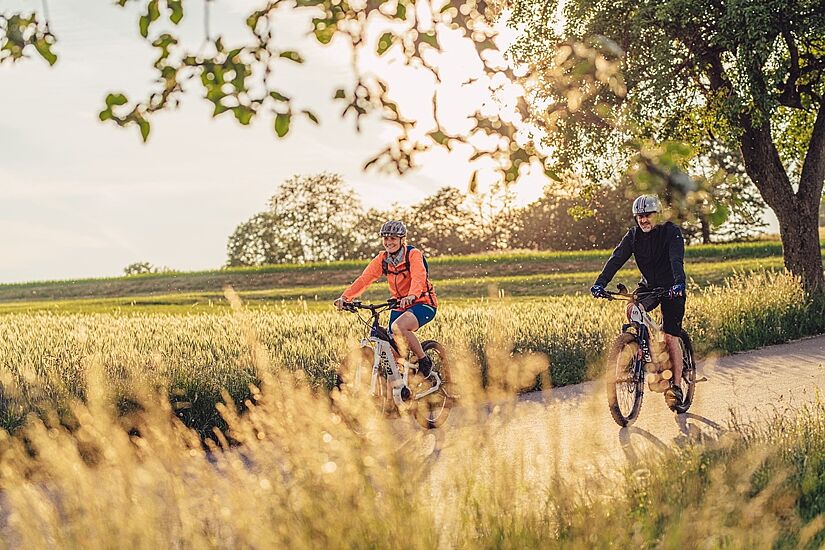 Odenwald-Madonnen-Radweg_Radfahren im Odenwald Odenwald-Madonnen-Radweg_Radfahren im Odenwald