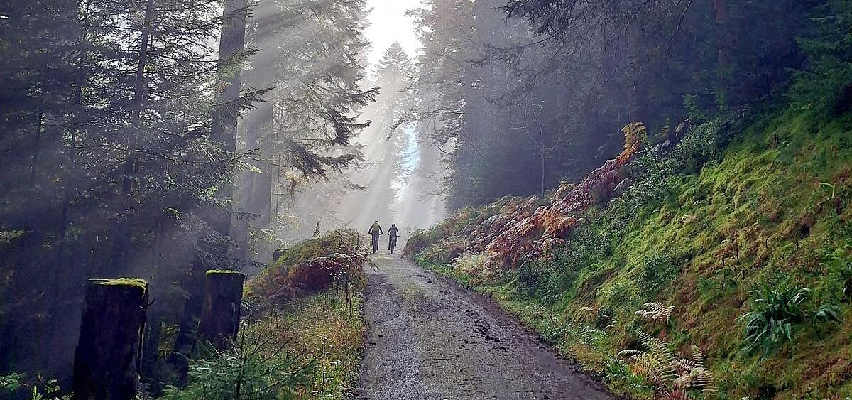 Genußradeln im Schwarzwald