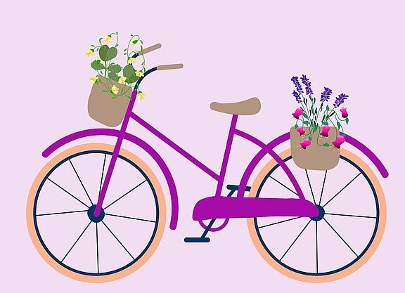 Fahrrad_lila